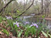 20-08-04-cedar-creek-trail-web