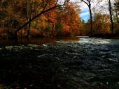 20-08-04-cooper-nature-preserve-trail-web