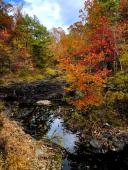 Coronado-Spillway-Path-11-09-2021-IMG1390-1